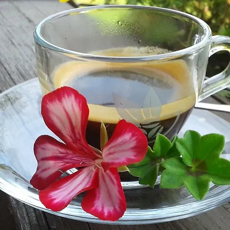 Svajciarsky Dom Gospodarstwo wiejskie